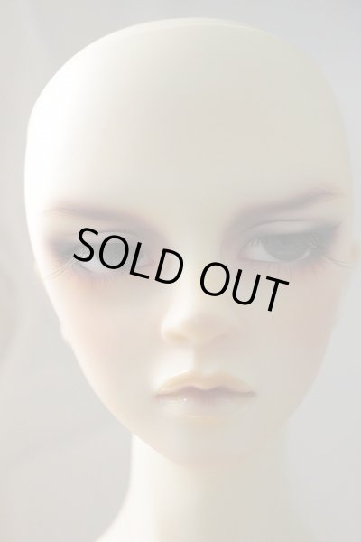 画像2: SD17BOY/ウィリアムズ Commodore Ver. U-24-02-07-220-TN-ZU (2)