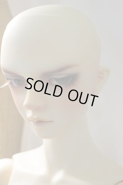 画像4: SD17BOY/ウィリアムズ Commodore Ver. U-24-02-07-220-TN-ZU (4)