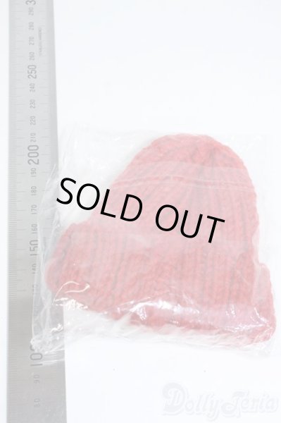 画像2: 【新品】SD/OF：ニットキャップ Y-25-08-27-209-TN-ZY (2)