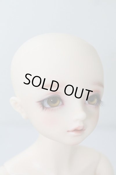 画像4: SDM男の子/コーディネートモデルF-54 U-24-02-14-209-TN-ZU (4)