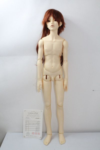 画像2: SDGrB/フルチョイスF-36 U-24-04-10-207-TN-ZU (2)