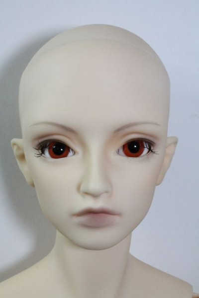 画像3: SDGrB/フルチョイスF-36 U-24-04-10-207-TN-ZU (3)