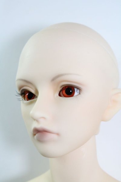 画像5: SDGrB/フルチョイスF-36 U-24-04-10-207-TN-ZU (5)