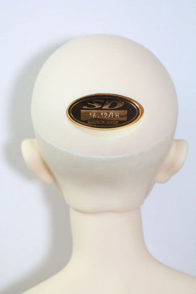 画像7: SDGrB/フルチョイスF-36 U-24-04-10-207-TN-ZU (7)