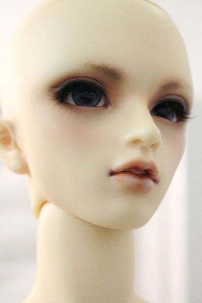 画像3: SDGrB/ワンオフヒースきのこ様 U-24-03-27-219-TN-ZU (3)