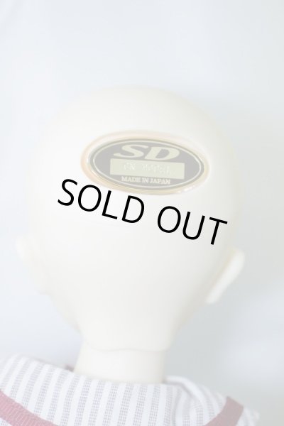 画像6: SDMG/コーディネートモデルF-30 U-24-01-03-214-TN-ZU (6)