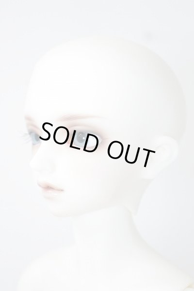 画像3: SDMB/コーディネートモデルF-35 U-23-12-06-205-TN-ZU (3)