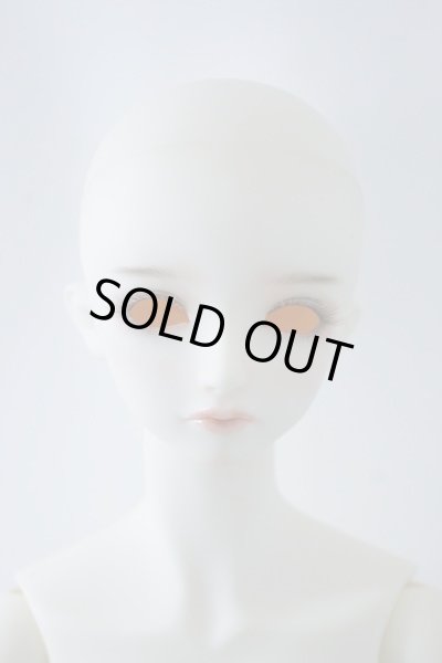 画像3: SDGrB/フルチョイスF-56 U-23-12-13-212-TN-ZU (3)