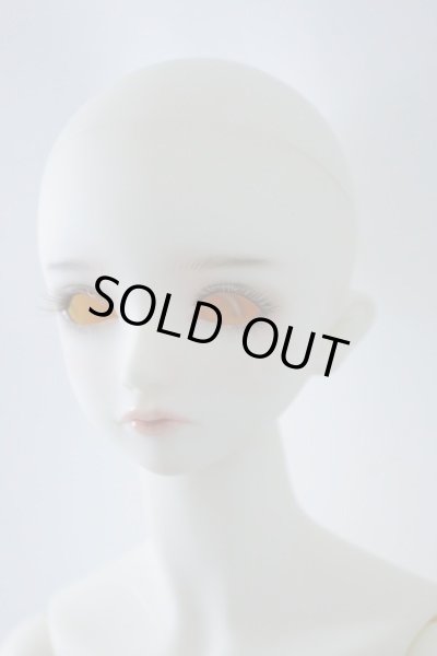 画像4: SDGrB/フルチョイスF-56 U-23-12-13-212-TN-ZU (4)