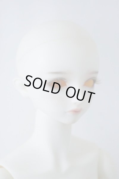 画像5: SDGrB/フルチョイスF-56 U-23-12-13-212-TN-ZU (5)