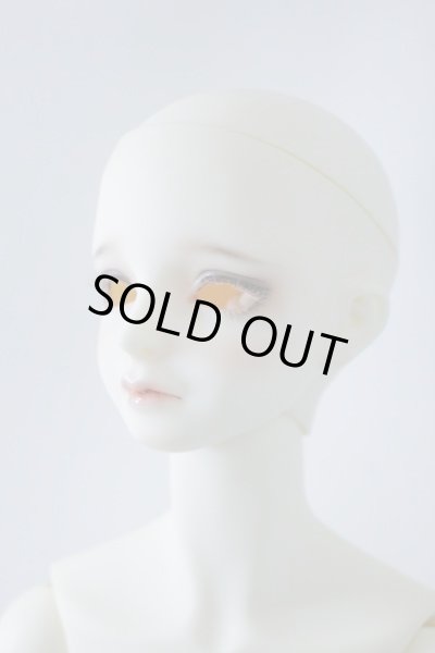 画像3: SDGｒBボディ＆DWC-01カスタムメイクヘッド U-23-12-13-213-TN-ZU (3)