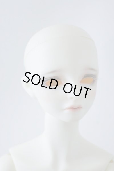 画像4: SDGｒBボディ＆DWC-01カスタムメイクヘッド U-23-12-13-213-TN-ZU (4)