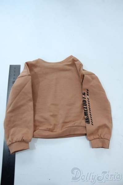 画像2: SD&DD/OF:MELIDY.C製ロングスリーブプリントTシャル Y-25-10-29-004-TN-ZY (2)