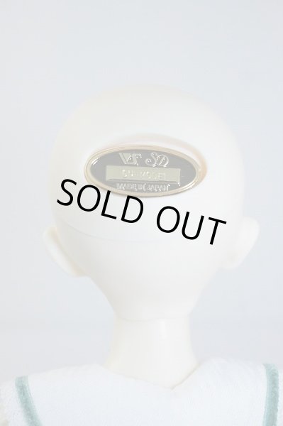 画像4: SDM　コーディネートモデル　Fー45 U-23-12-27-212-TN-ZU (4)