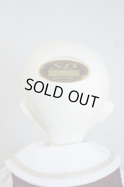 画像4: SDM　コーディネートモデル　Fー31 U-23-12-27-214-TN-ZU (4)