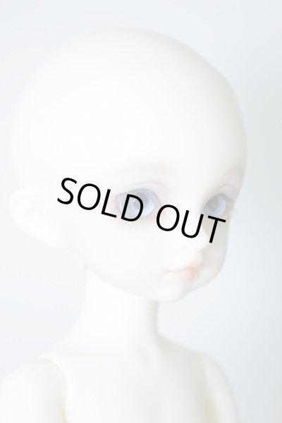 画像3: 幼SD/リトルアリス U-24-01-10-205-TN-ZU (3)