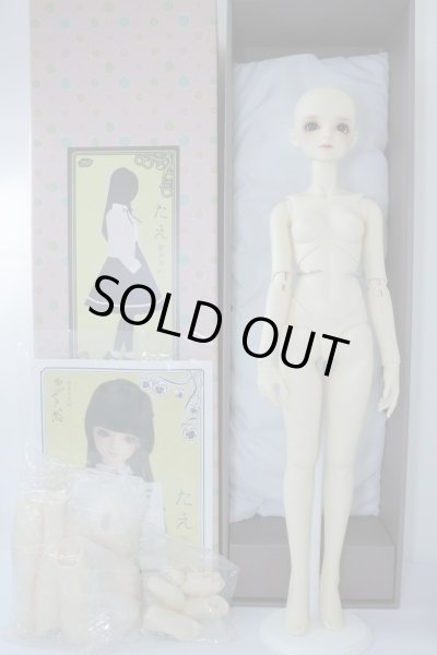 画像5: SDGr/たえ 夢少女ver. U-24-01-10-214-TN-ZU (5)