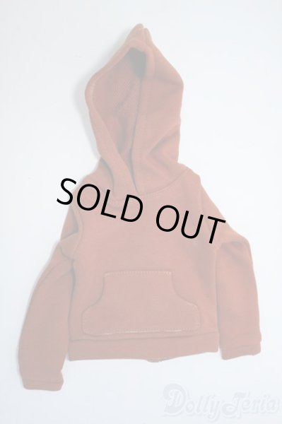 画像1: 【新品】SD/OF:パーカ Y-25-08-27-245-TN-ZY (1)