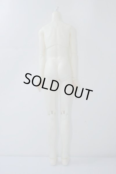 画像2: SDGrB/ウィリアムズボディ U-24-01-24-217-TN-ZU (2)