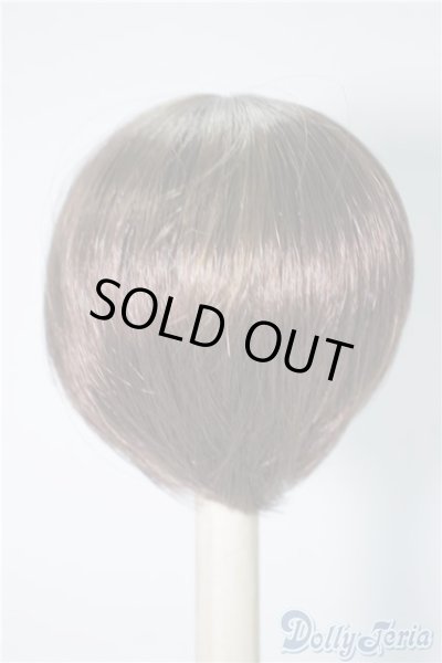 画像2: 7〜8inchウィッグ U-24-09-03-039-TN-ZU (2)