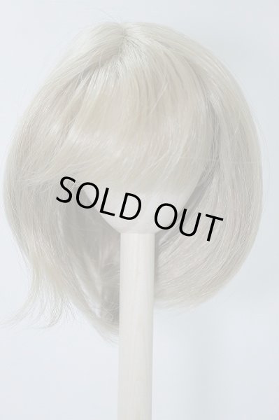 画像1: 9〜10inch/ウィッグ U-24-02-07-100-TN-ZU (1)