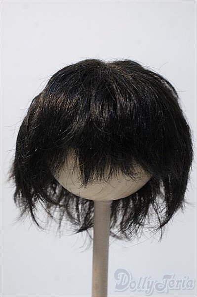 画像1: 9〜10inch/VOLKS製ウィッグ Y-25-02-19-215-KD-ZY (1)