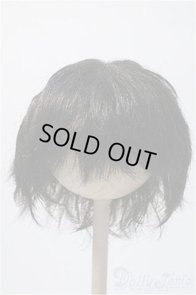 画像1: 9〜10inch/VOLKS製ウィッグ Y-25-02-19-215-KD-ZY (1)