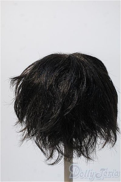 画像2: 9〜10inch/VOLKS製ウィッグ Y-25-02-19-215-KD-ZY (2)
