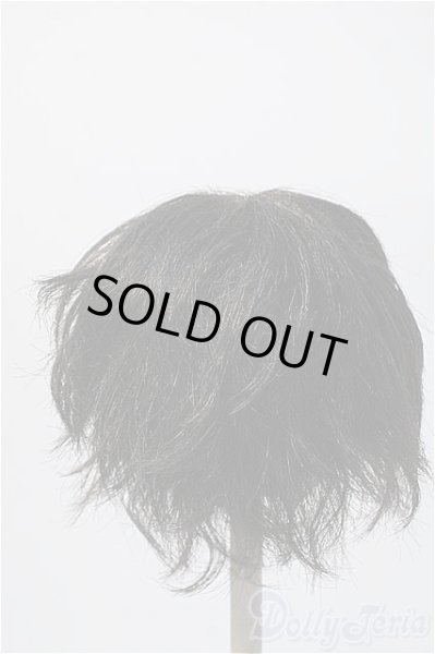 画像2: 9〜10inch/VOLKS製ウィッグ Y-25-02-19-215-KD-ZY (2)