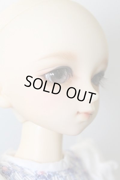 画像5: MSDGIRL/コーディネートF19 U-24-03-06-205-KN-ZU (5)