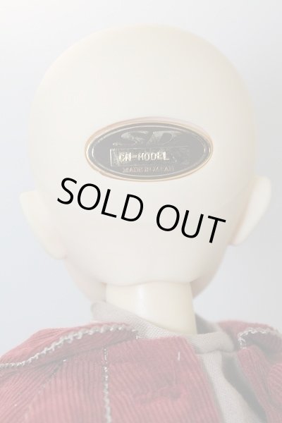 画像6: MSDGIRL/コーディネートモデル:F-06 U-24-03-06-204-KN-ZU (6)