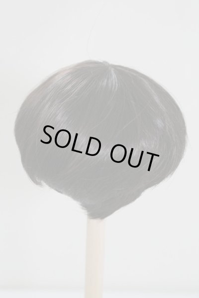 画像2: 8〜9inch/ウィッグ U-24-05-01-008-TN-ZU (2)