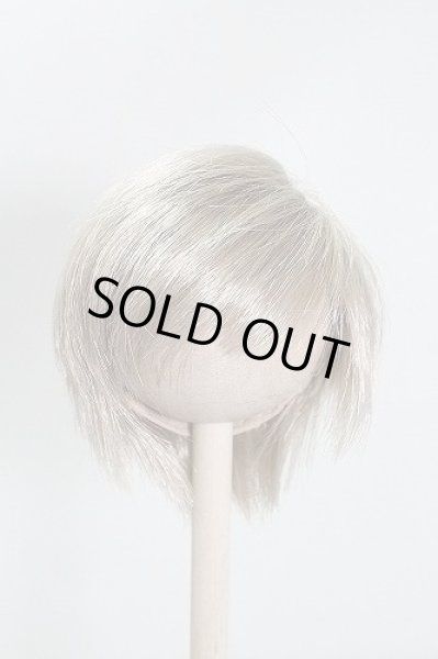 画像1: 7〜8inchウィッグ U-24-04-17-027-TN-ZU (1)