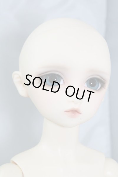 画像6: SD女の子/フルチョイス：F-01 U-24-05-01-218-TN-ZU (6)