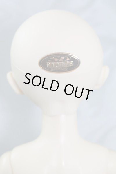 画像8: SD女の子/フルチョイス：F-01 U-24-05-01-218-TN-ZU (8)