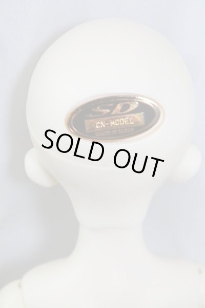 画像9: SDM女の子/コーディネートモデルF-33 U-24-05-08-217-TN-ZU (9)