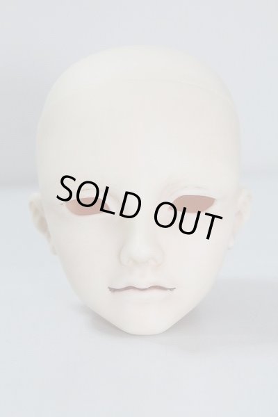 画像1: SD17B/アンドレ・グランディエヘッド U-24-05-08-213-TN-ZU (1)