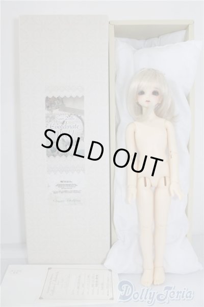 画像4: SDMGIRL/F-33コーディネートモデル U-24-06-04-214-KD-ZU (4)