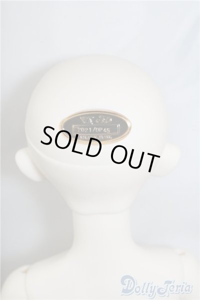 画像6: SDGIRL/リーゼロッテ Galerie de l'esprit 2021 秋冬Ver. U-24-05-28-218-TN-ZU (6)