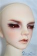 画像3: SD17BOY/ウィリアムズ:Commodore ver. U-24-06-11-220-TN-ZU (3)