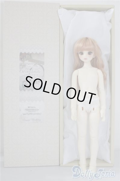 画像4: SDM/コーディネートF-40 U-24-06-11-211-TN-ZU (4)