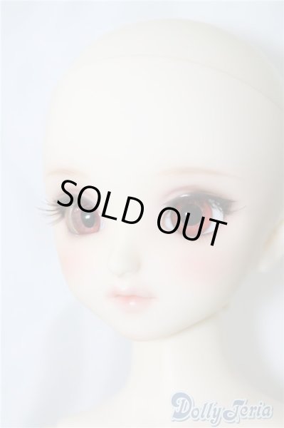 画像7: SDM/コーディネートF-40 U-24-06-11-211-TN-ZU (7)