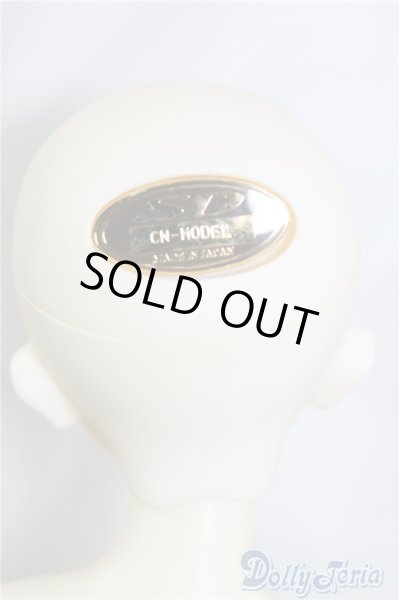 画像8: SDM/コーディネートF-40 U-24-06-11-211-TN-ZU (8)