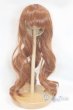 画像1: 9~10inch/ウィッグ U-25-03-11-256-TN-ZU (1)