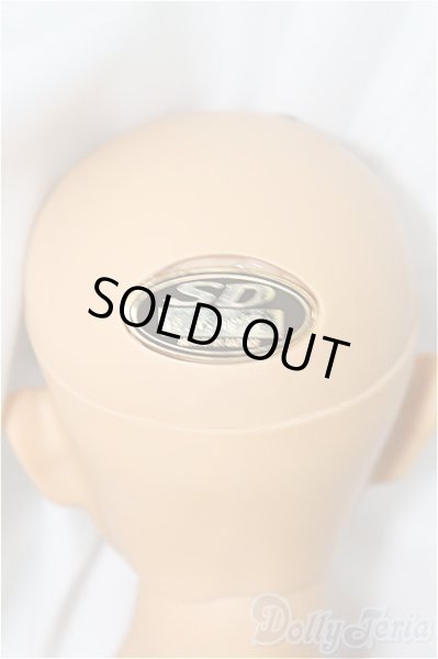 画像5: SD17男の子/橘　四郎 U-24-06-25-216-TN-ZU (5)