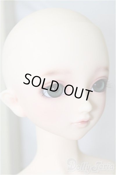 画像3: SD/スタンダードここ U-24-06-25-217-TN-ZU (3)