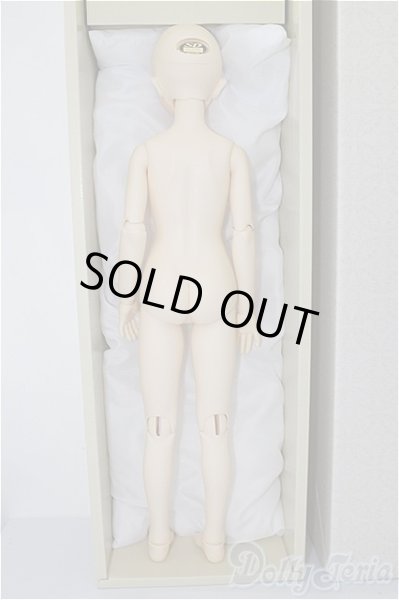 画像6: SD/スタンダードここ U-24-06-25-217-TN-ZU (6)