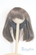 画像1: 7〜8inchウィッグ U-25-03-11-280-TN-ZU (1)