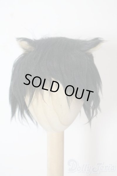 画像1: 6〜7inch/ボアウィッグ U-25-07-15-116-TN-ZU (1)