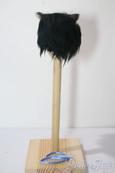 画像2: 6〜7inch/ボアウィッグ U-25-07-15-116-TN-ZU (2)